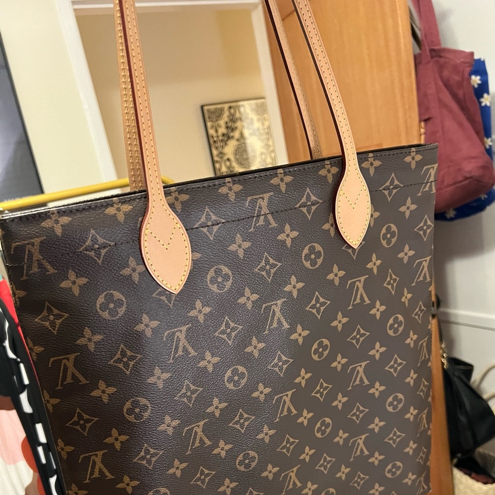 Louis Vuitton Carry It Tote w/ matching insert *like new!